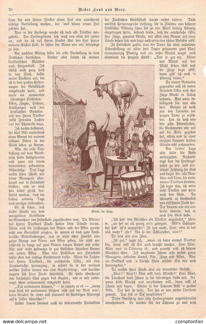 A102 891 - Menagerie Maler Tiere Zirkus Artikel Mit 9 Bildern 1895 !! - Autres & Non Classés