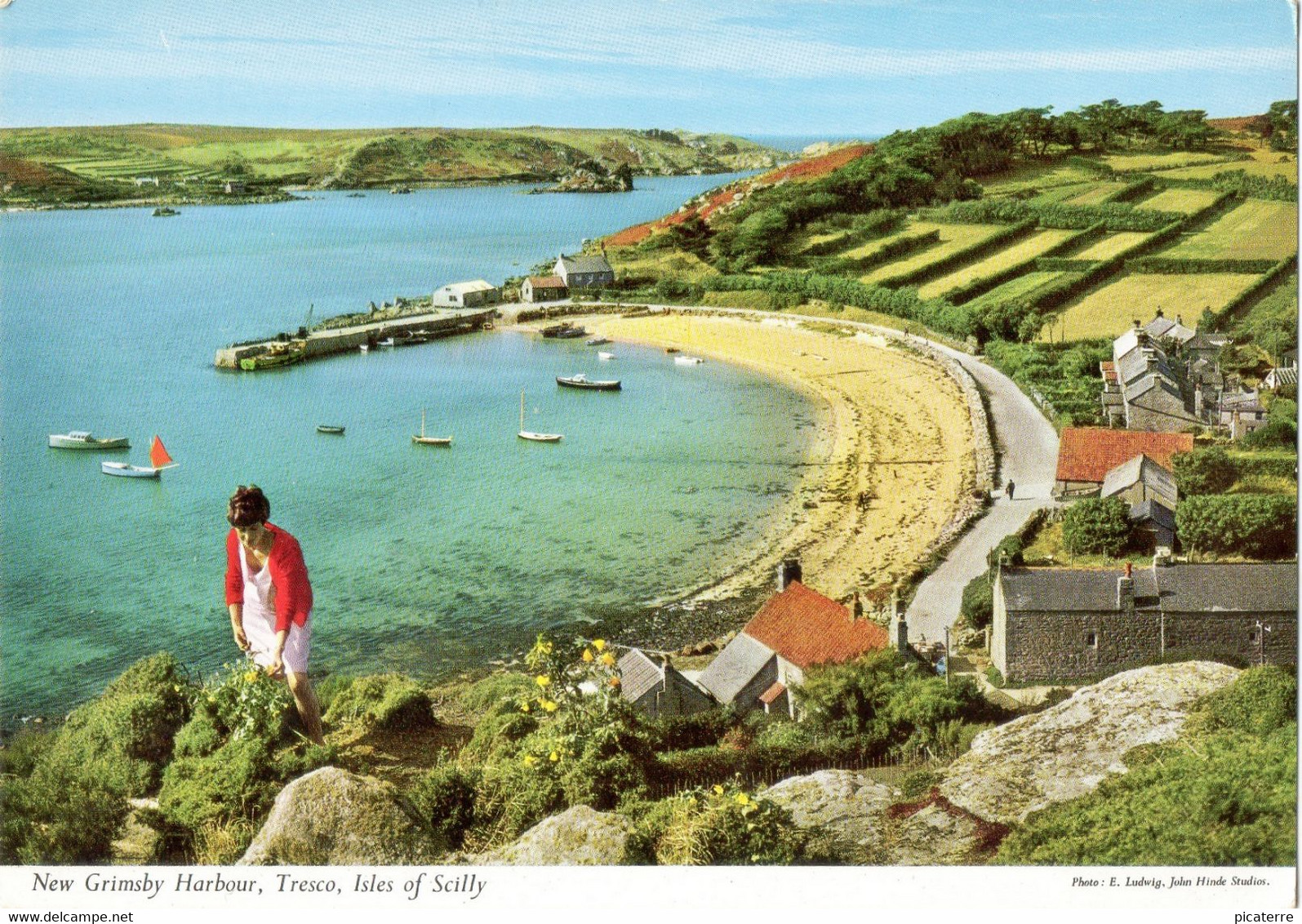 New Grimsby Harbour,Tresco, Isles Of Scilly (John Hinde-photo E.Ludwig) - Scilly Isles