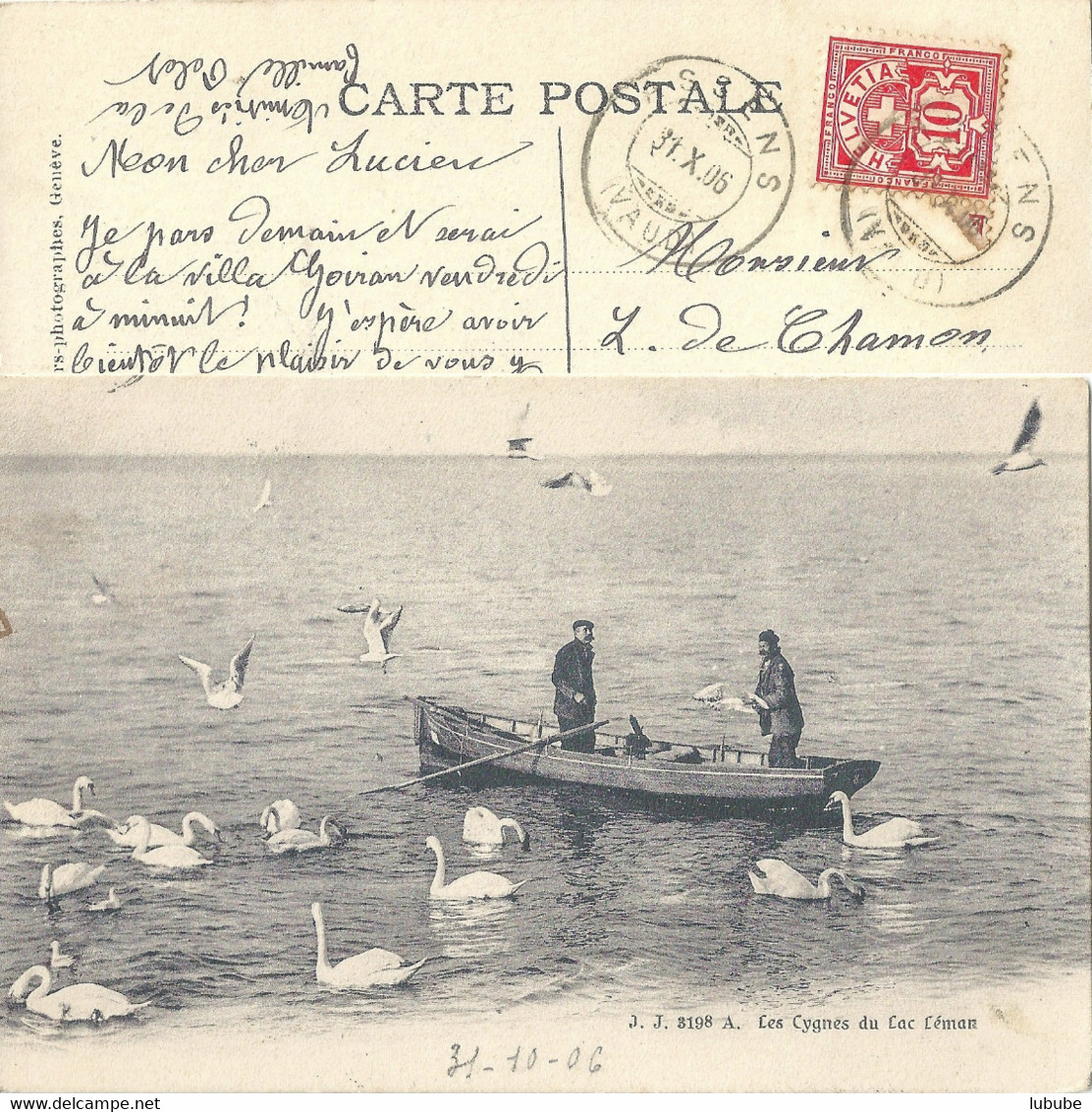 Les Cygnes Du Lac Léman  (ASSENS)         1906 - Assens