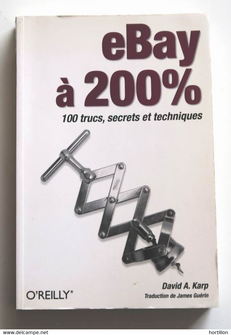 Livre De David A. Karp - Ebay à 200 % - 100 Trucs, Secrets Et Techniques - Informatique