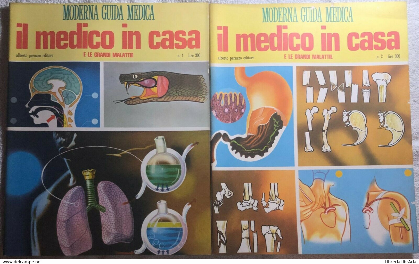 Il Medico In Casa E Le Grandi Malattie 1-2 Di Aa.vv.,  1968,  Alberto Peruzzo Ed - Gezondheid En Schoonheid