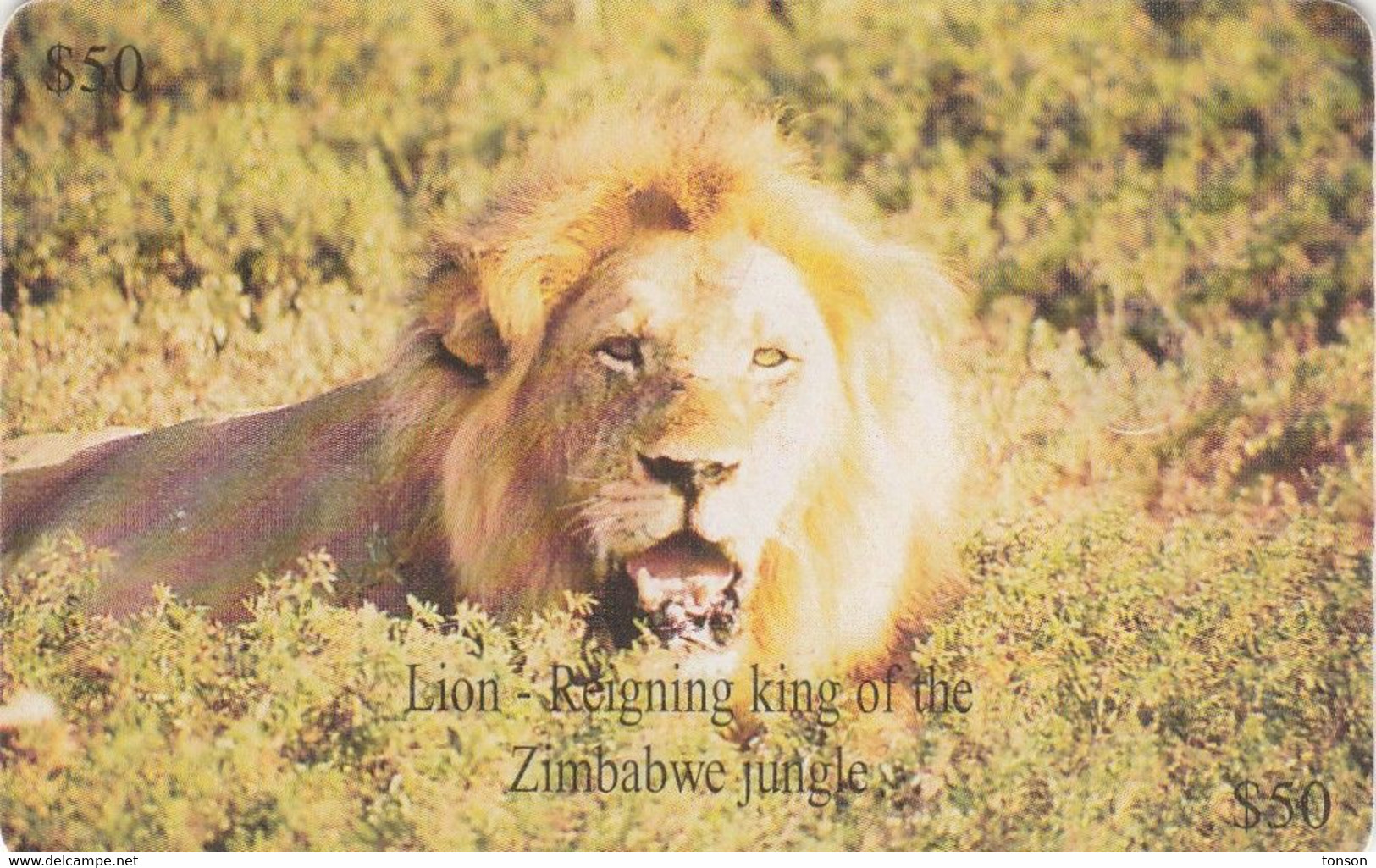 Zimbabwe, ZIM-25, $50, Lion, 2 Scans. - Zimbabwe