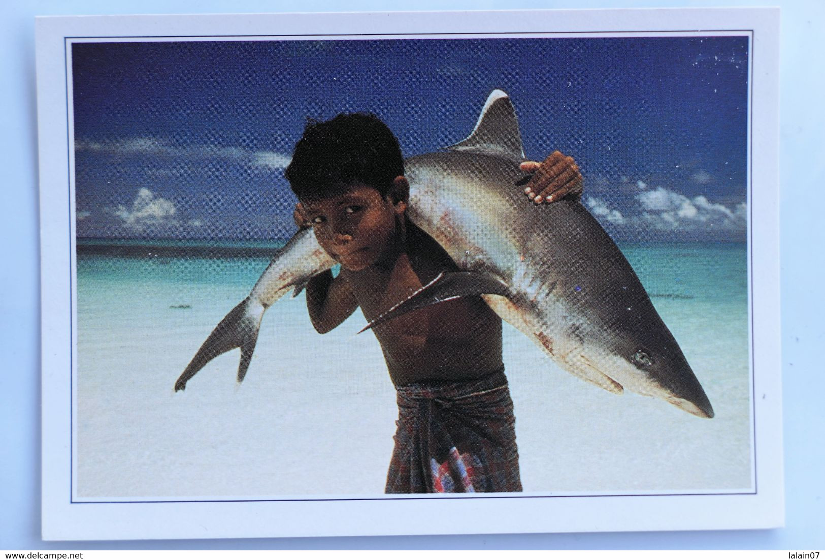 Carte Postale : Maldives Islands : White Tipped Shark Carried By A Young Child, Requin à Pointe Blanche Porté Un Jeune - Maldivas