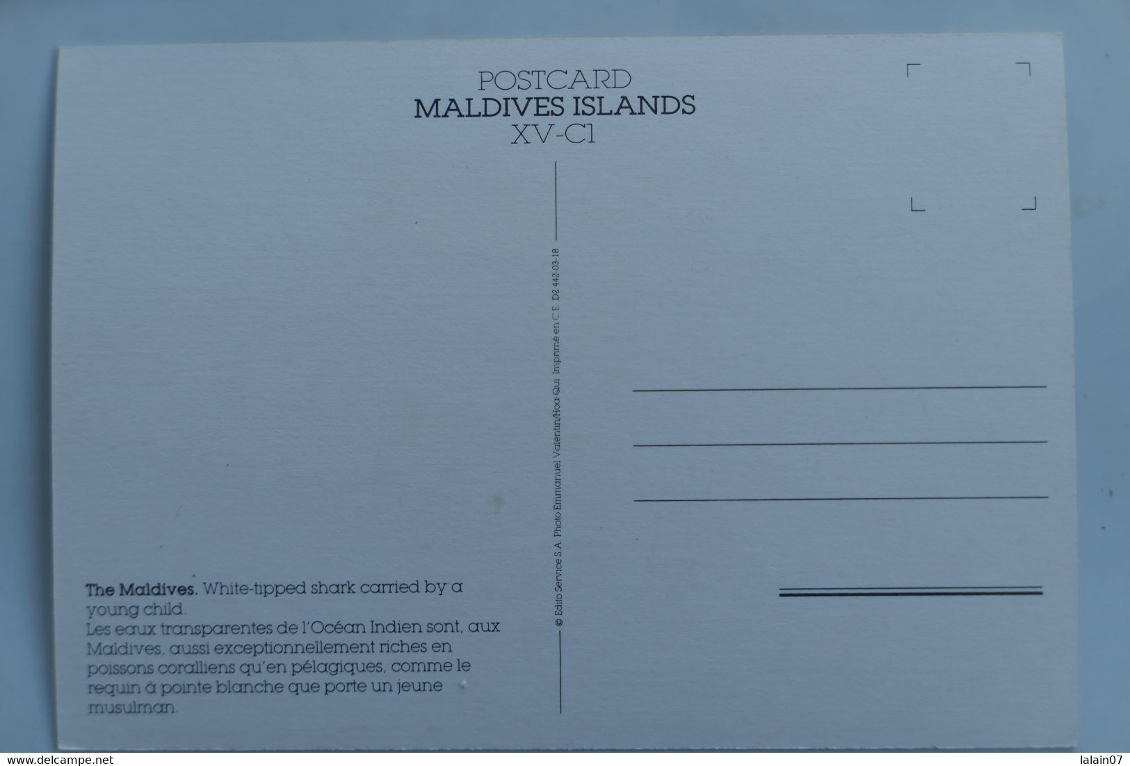 Carte Postale : Maldives Islands : White Tipped Shark Carried By A Young Child, Requin à Pointe Blanche Porté Un Jeune - Maldive