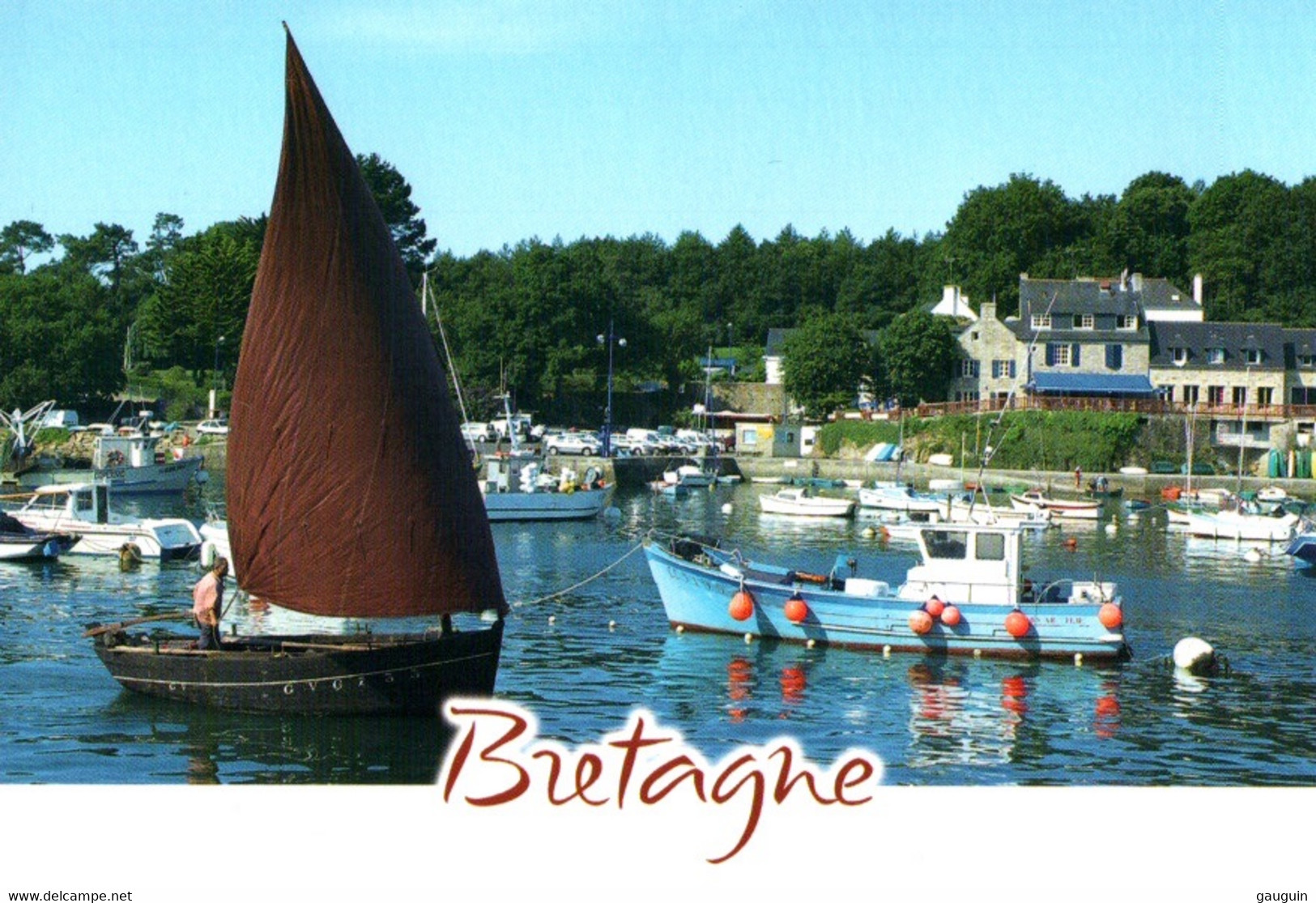 CPM - NÉVEZ - Vue Du Port ...(vieux Gréement) - Edition Cl.Pastor - Névez