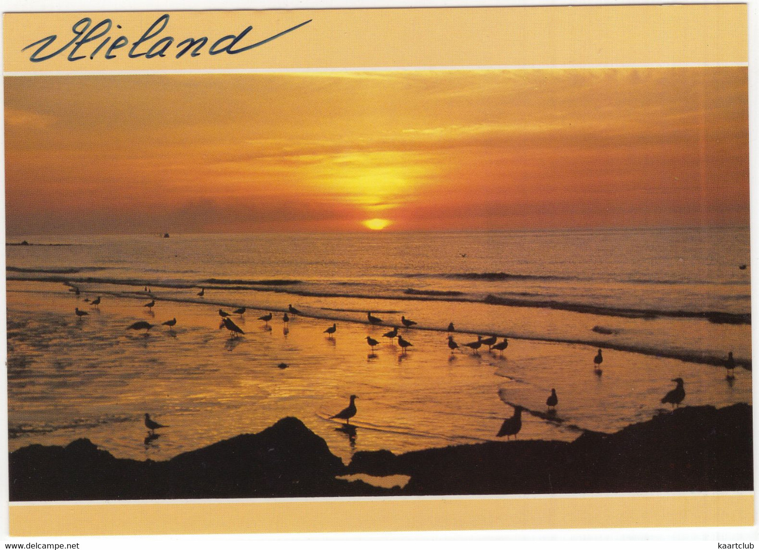 Vlieland - Zonsondergang, Vogels, Zee - (Nederland/Holland) - 200 - Vlieland