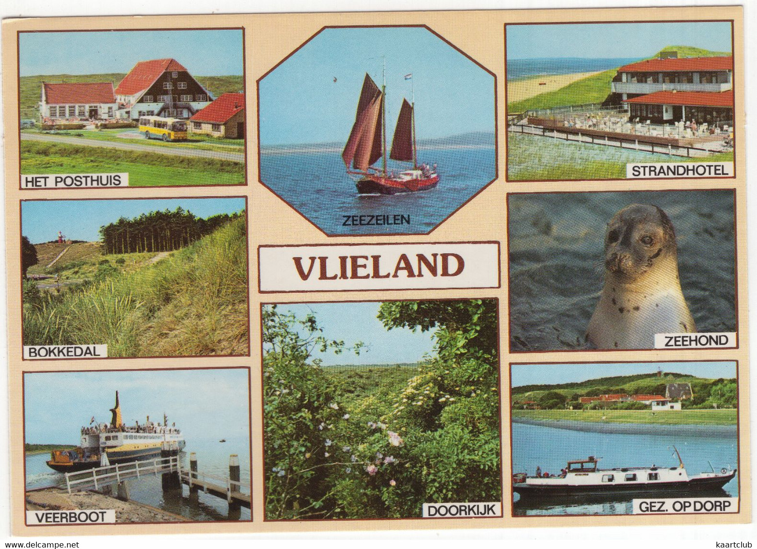 Vlieland: Posthuis, Bokkedal, Veerboot, Zeezeilen, Strandhotel, Zeehond, Dorp, Doorkijk (Nederland/Holland) - Nr. VLD 62 - Vlieland