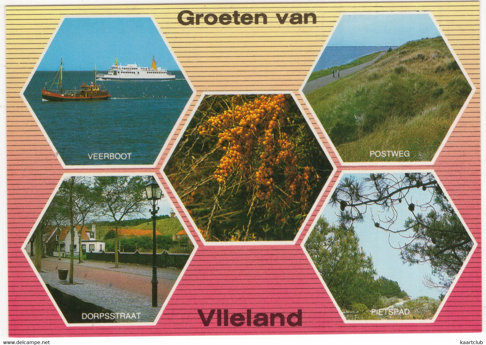 Groeten Van Vlieland: Veerboot, Postweg, Dorpsstraat, Fietspad, Duindoorn - (Nederland/Holland) - VLD 26 - Vlieland