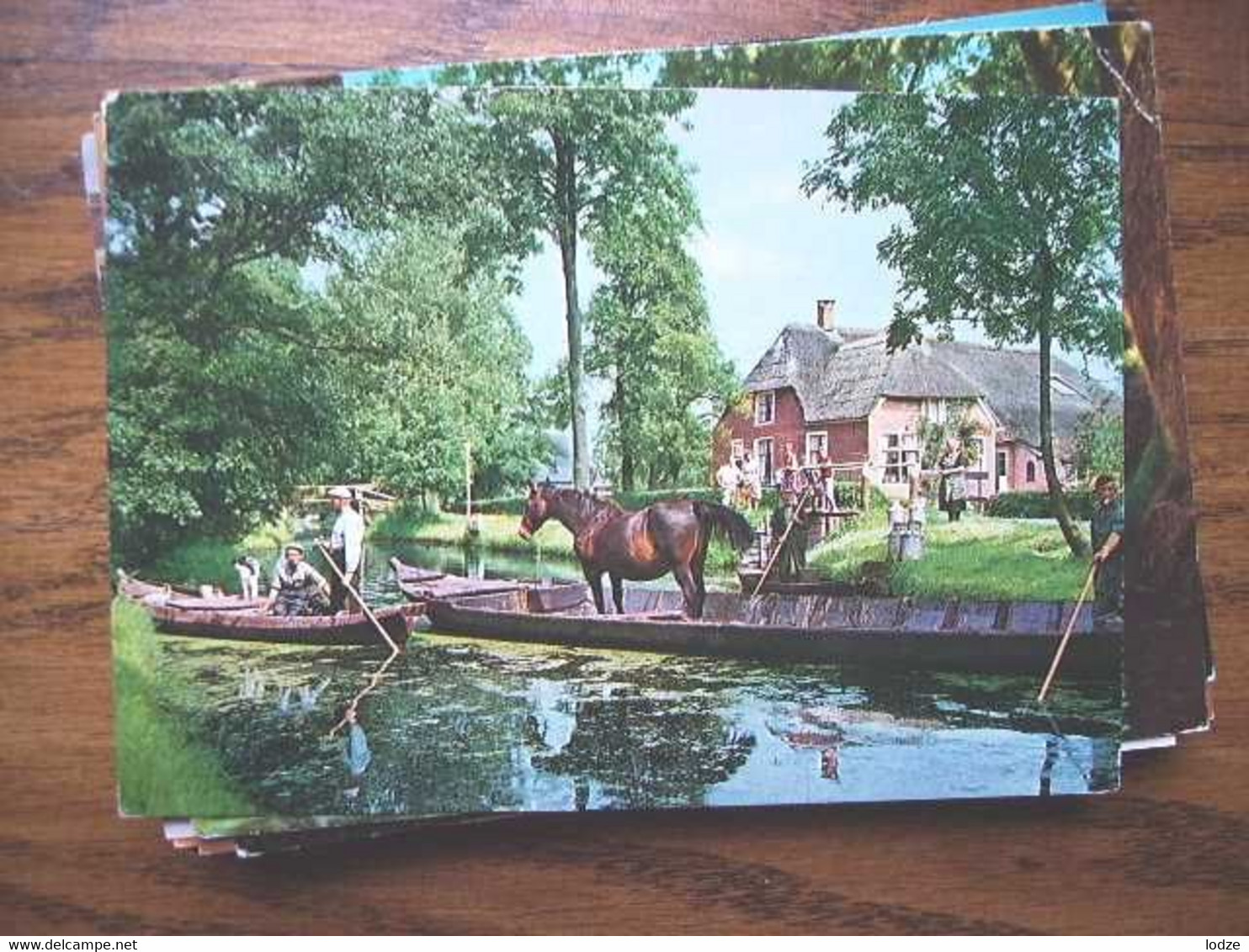 Nederland Holland Pays Bas Giethoorn Met Paard Op Praam - Giethoorn