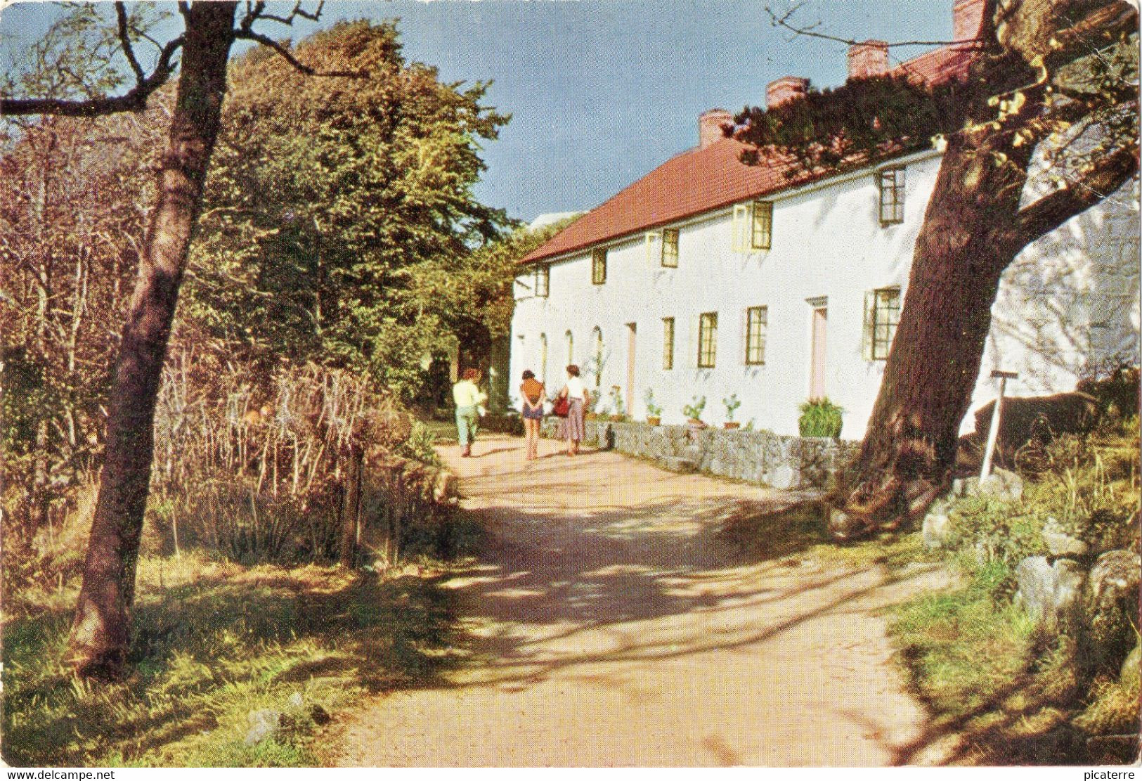 Mermaid Cottages, Herm -published By The Tenant Of Herm - Herm