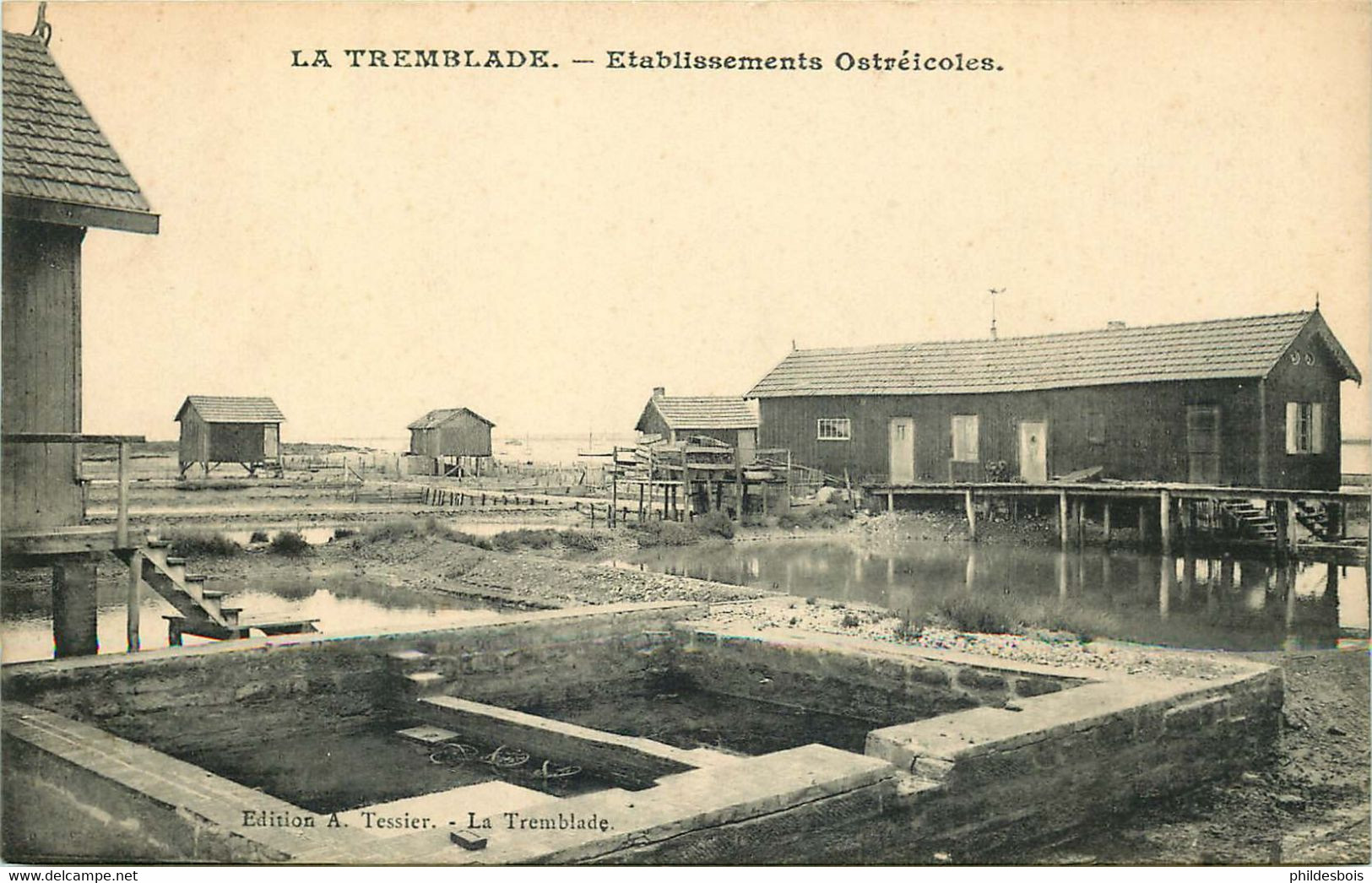 CHARENTE MARITIME  LA TREMBLADE  Etablissements Ostreicoles - La Tremblade