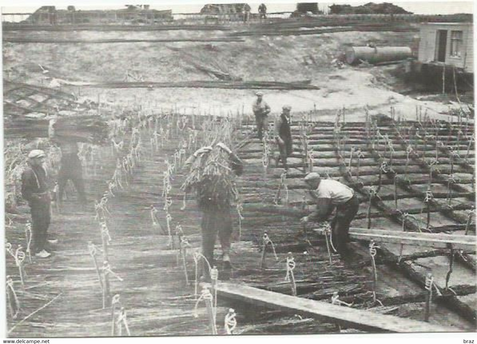 CPSM  Den Oever Op (22 September 1931) - Den Oever (& Afsluitdijk)