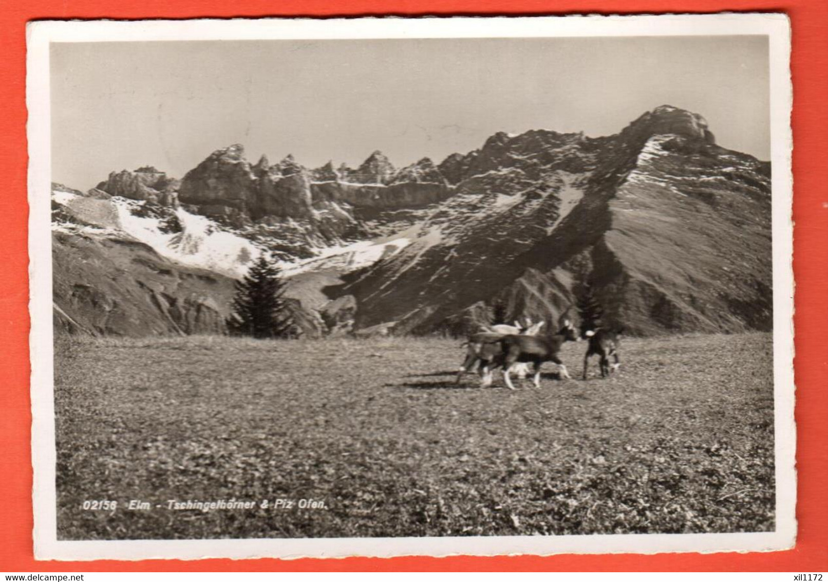 FM-23 Elm Glarus Tschingelhörner  Ziegen  Gitzi. Chèvres, Photo Frei  Rest. Bahnhof ELM. Gelaufen 1940 Grand Format - Elm