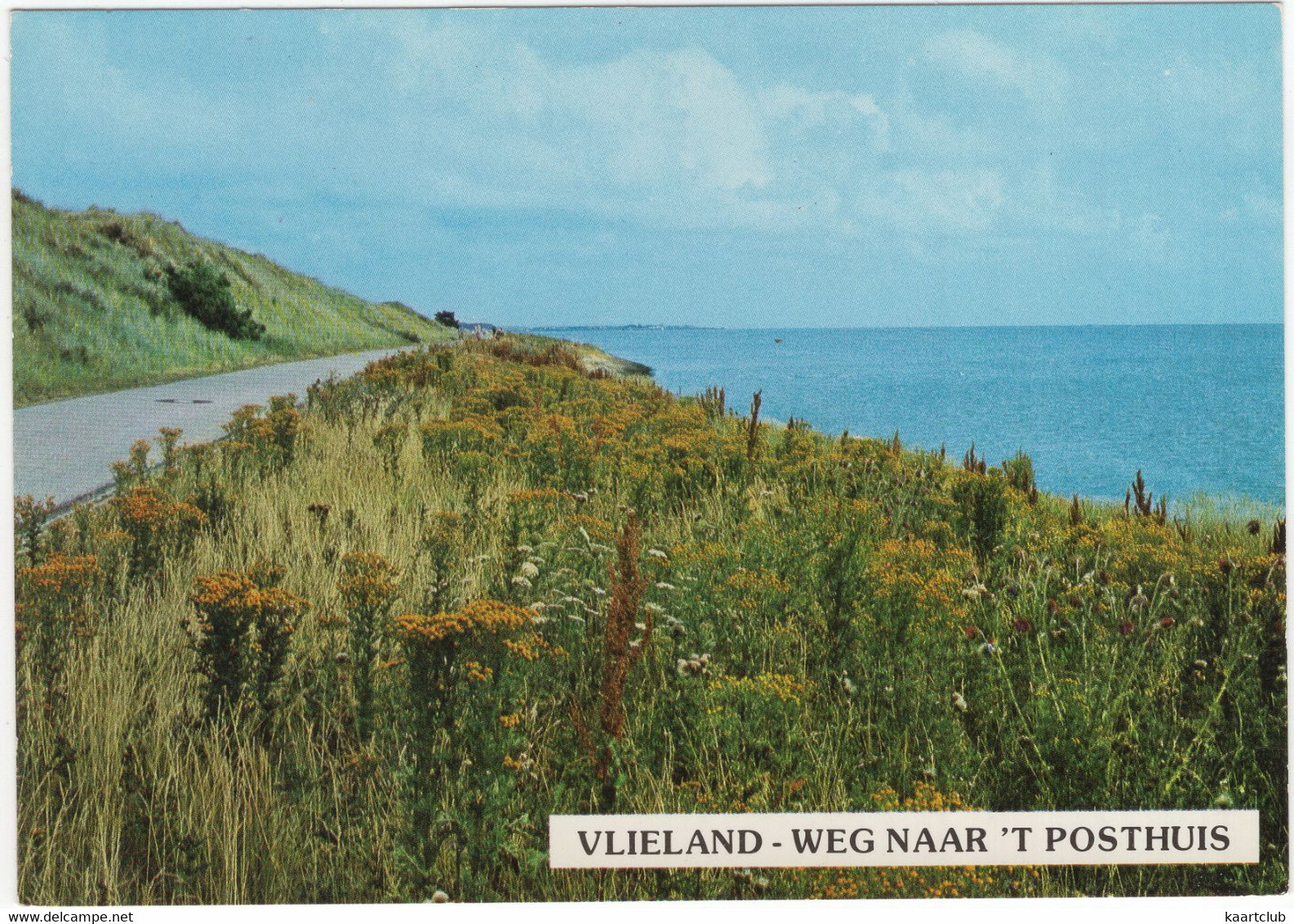 Vlieland - Weg Naar 't Posthuis - Natuur, Berm - (Nederland/Holland) - No. L 5593 - Vlieland