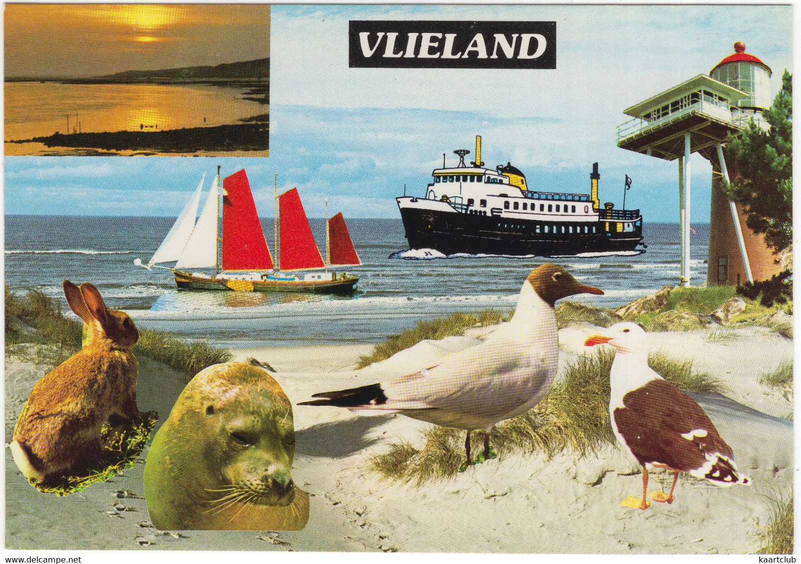 Het Eiland Vlieland - Dieren, Veerboot, Vuurtoren  (Nederland/Holland) - Nr. L 7023 - Vlieland