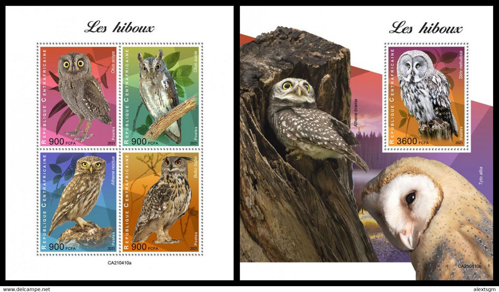 CENTRAL AFRICA 2021 - Owls, M/S + S/S. Official Issue [CA210410] - Autres & Non Classés