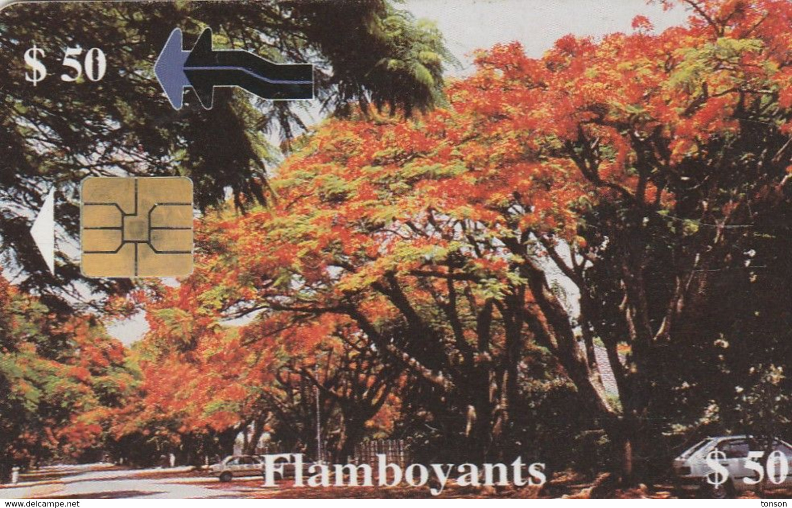 Zimbabwe, ZIM-26, $50, Flamboyants, Trees, 2 Scans. - Zimbabwe