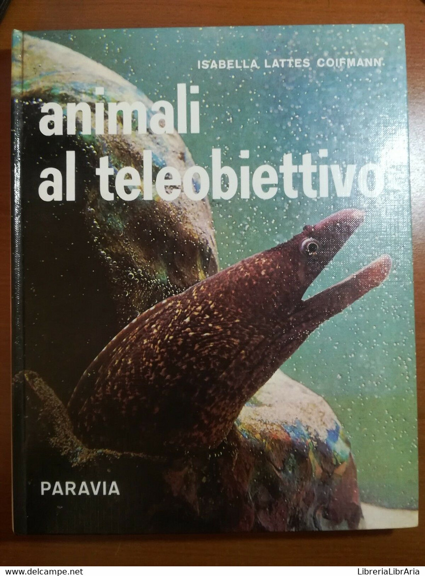 Animali Al Teleobiettivo - Isabella Lattes Coifmann - Paravia - 1968 - M - Nature