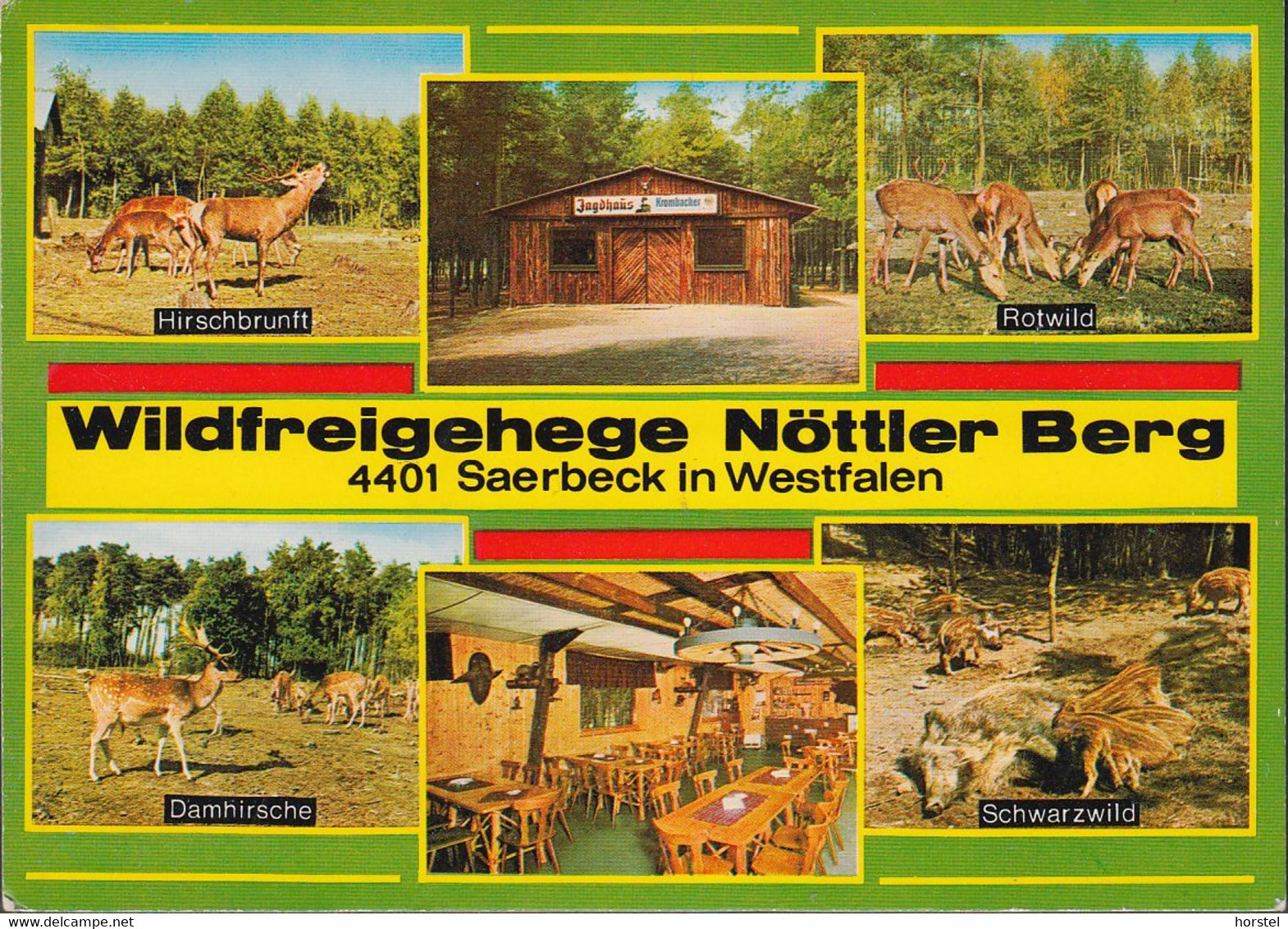 D-48369 Saerbeck - Wildfreigehege Nöttler Berg - Rotwild - Damhirsche - Schwarzwild - Ibbenbueren