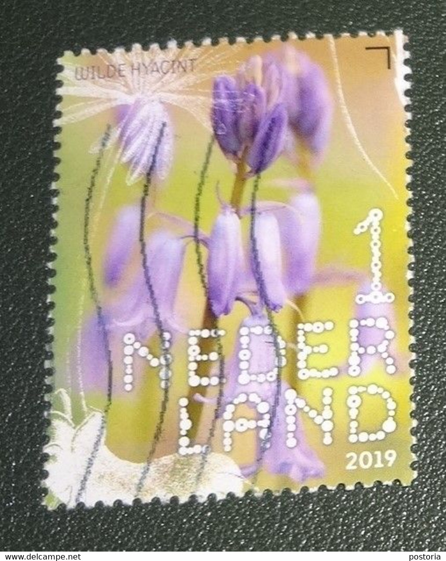 Nederland - NVPH - Xxxx - 2019 - Gebruikt - Used - Beleef De Natuur - Wilde Hyacint - Oblitérés