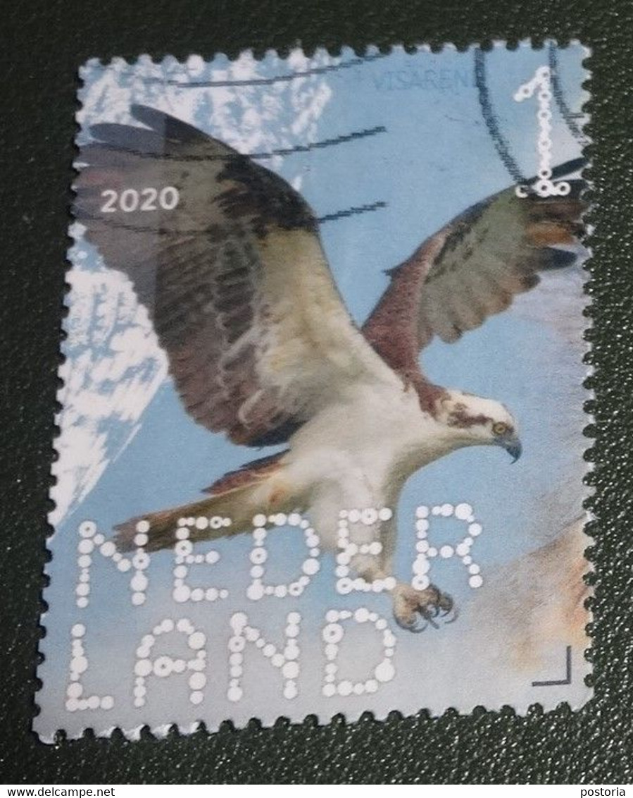 Nederland - NVPH - Xxxx - 2020 - Gebruikt - Used - Beleef De Natuur - Visarend - Used Stamps