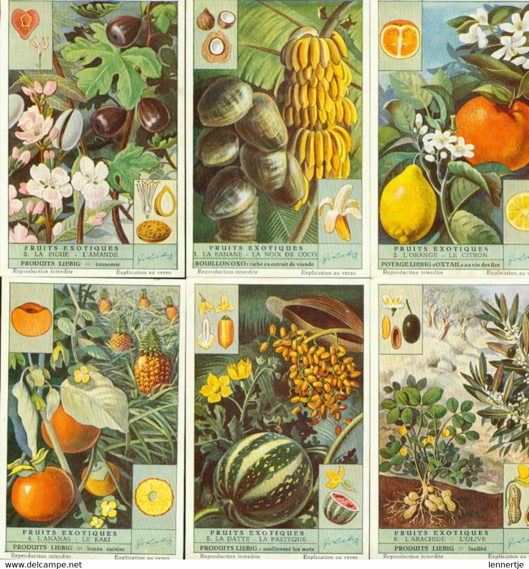 LIEBIG : S_1537 : 'Fruits Exotiques - Andere & Zonder Classificatie
