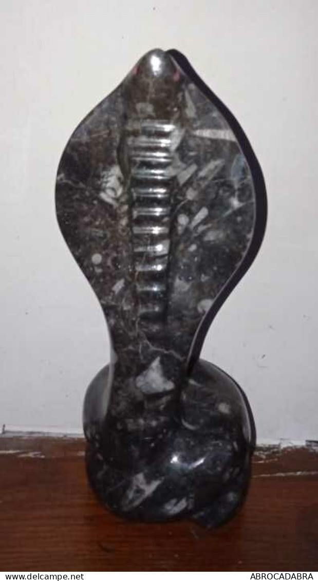 Superbe Sculpture Cobra Orthoceras Fossile Marbre Noir - Andere & Zonder Classificatie