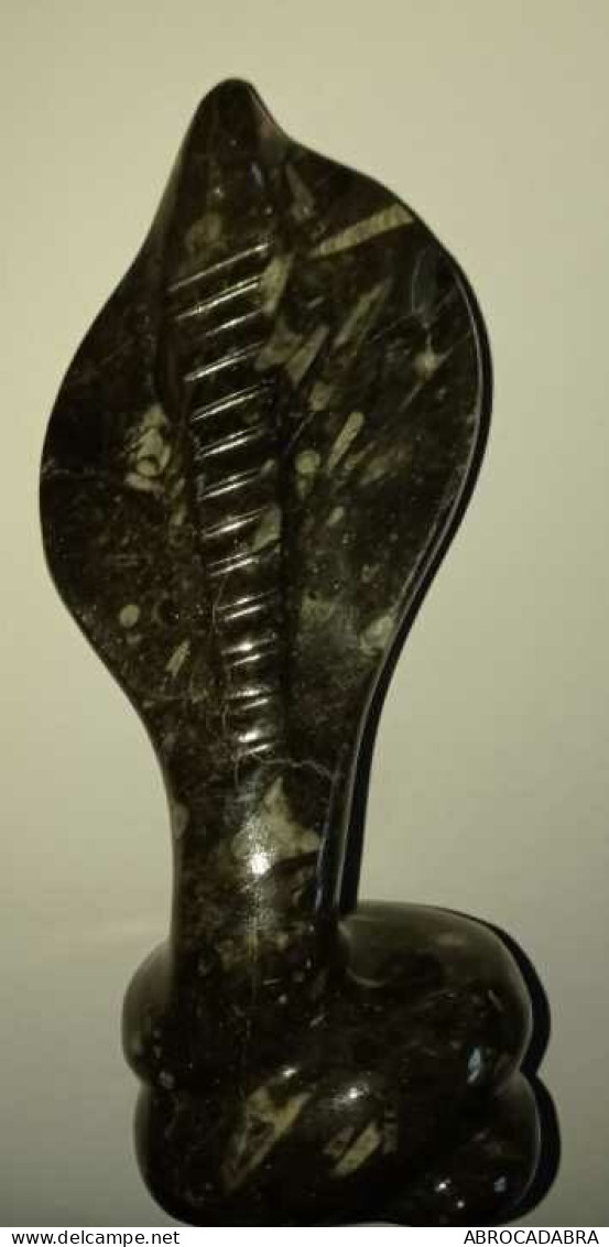 Superbe Sculpture Cobra Orthoceras Fossile Marbre Noir - Andere & Zonder Classificatie
