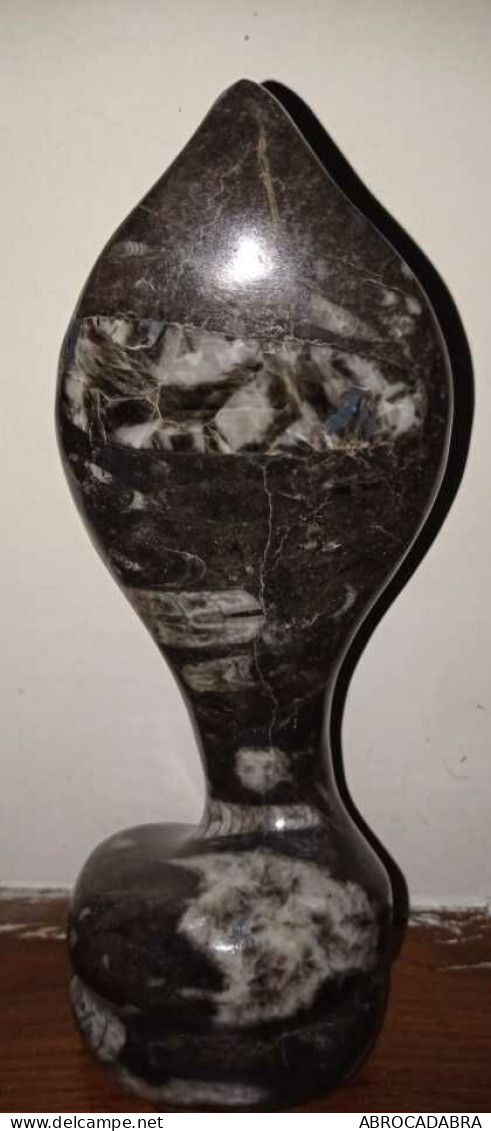 Superbe Sculpture Cobra Orthoceras Fossile Marbre Noir - Sonstige & Ohne Zuordnung