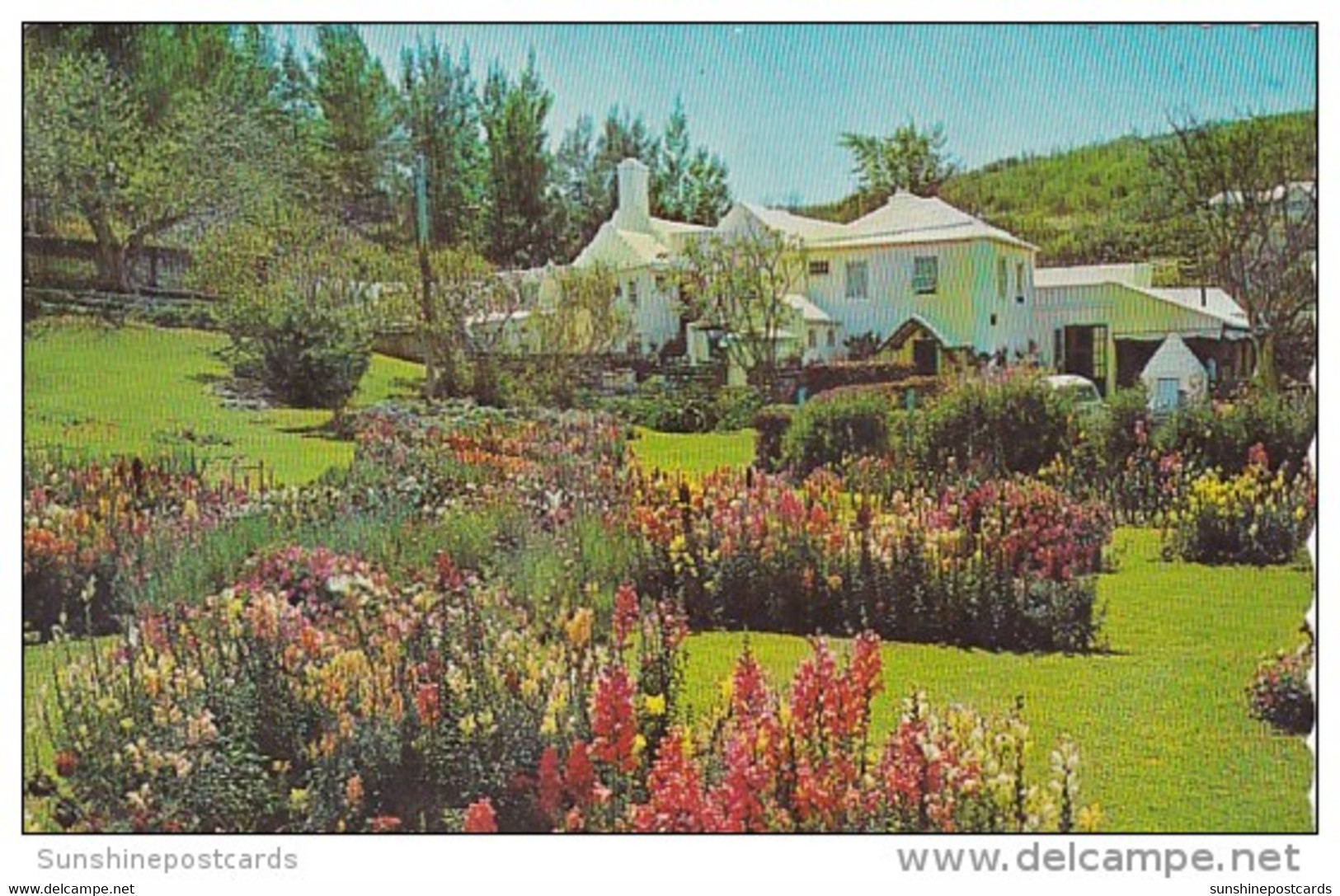 Bermuda Southampton Garden At Waterlot Inn 1968 - Bermuda