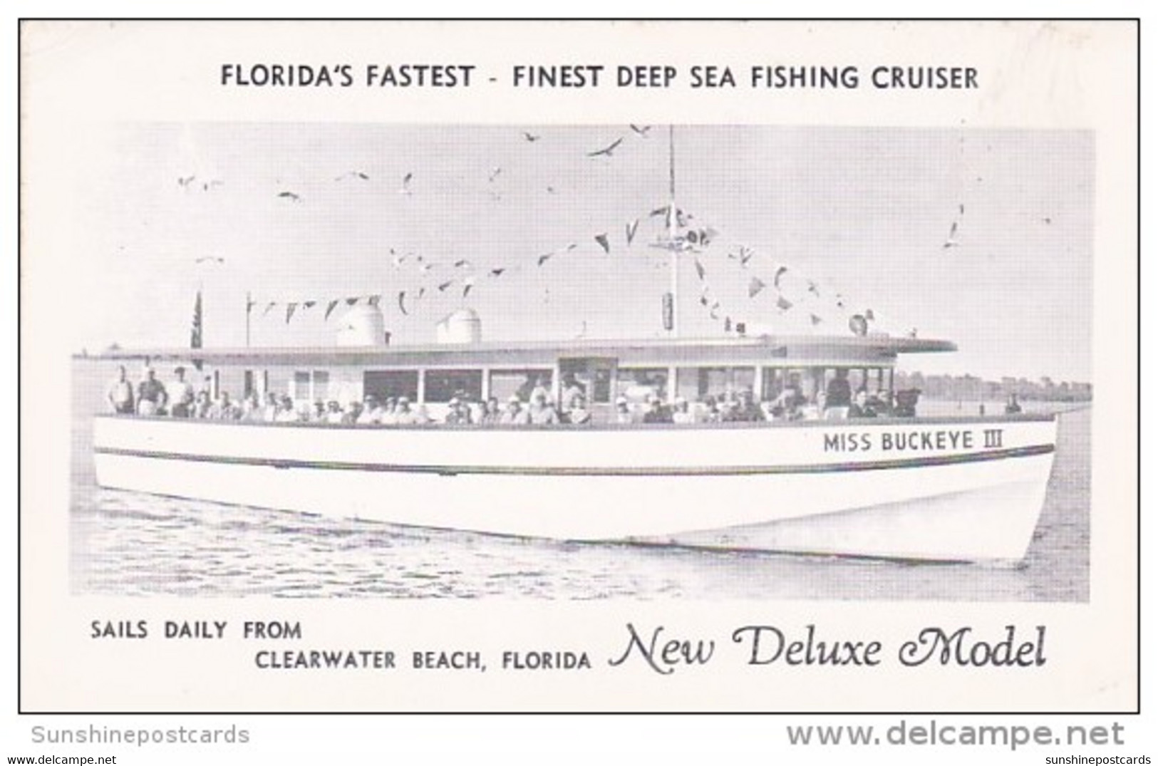 Florida Clearwater Miss Buckeye III Deep Sea Fishing Cruiser - Clearwater