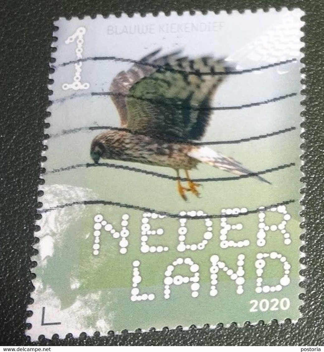 Nederland - NVPH - Xxxx - 2020 - Gebruikt - Used - Beleef De Natuur - Blauwe Kiekendief - Gebraucht