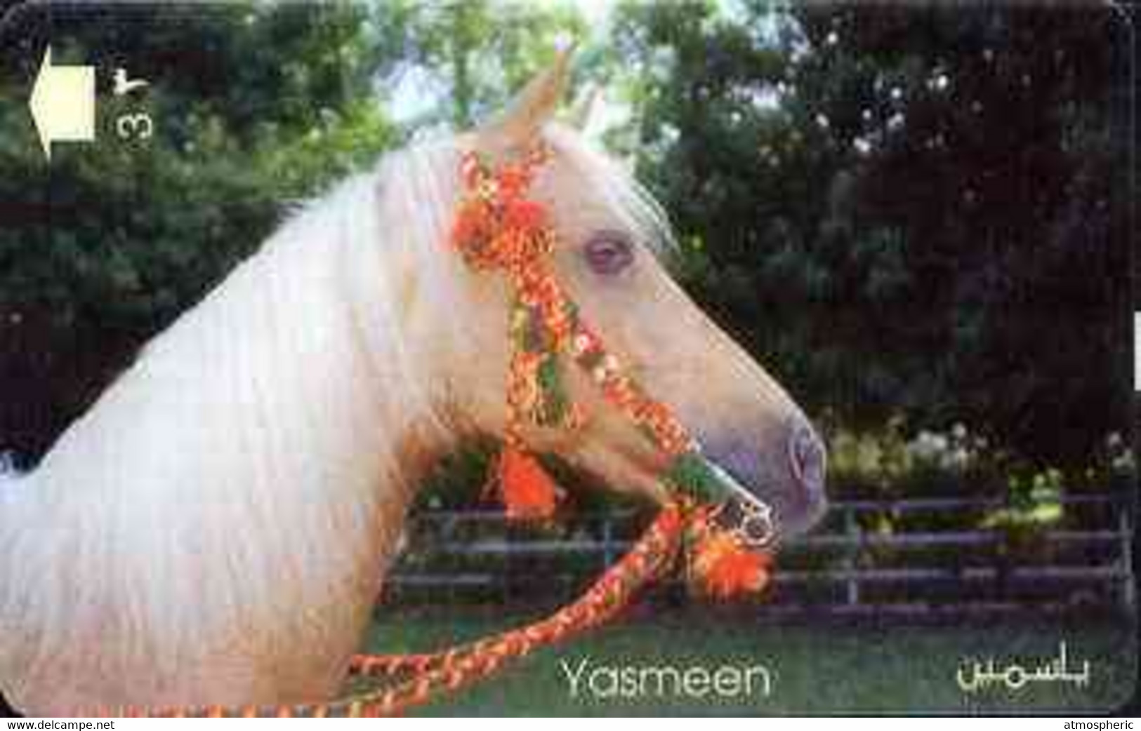 Telephone Card -Oman 3r Phone Card Showing Horse (Yasmeen) - Paarden