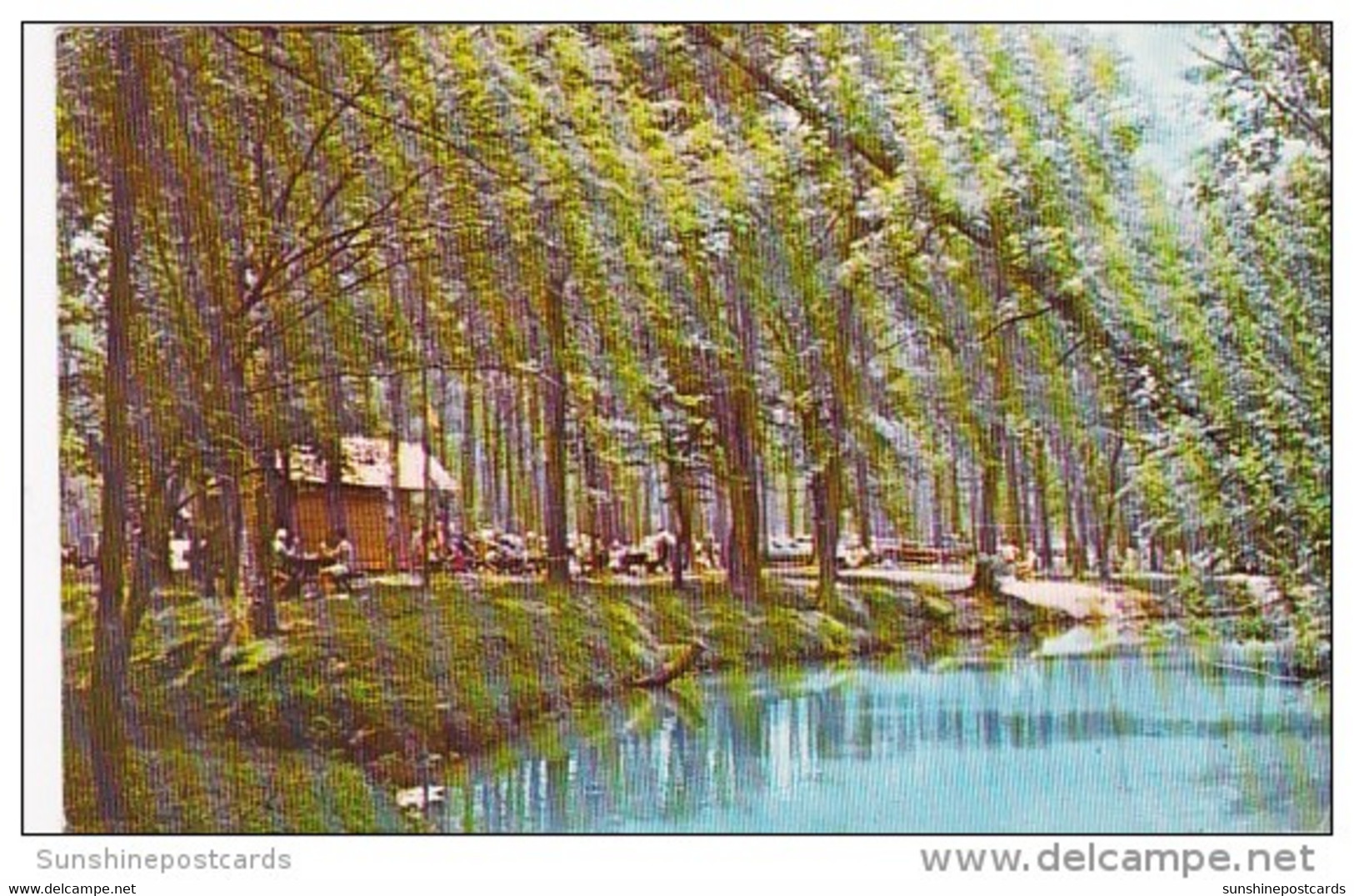 Alabama Tannehill State Park Ole Swimming Hole On Tannehill Mill Creek 1977 - Tuscaloosa