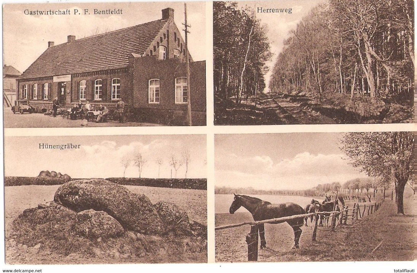 DABEL Bei Sternberg Mecklenburg Gastwirtschaft P.F. Bentfeld Hünengräber Pferde Zucht Auf Koppel 19.8.1932 - Sternberg