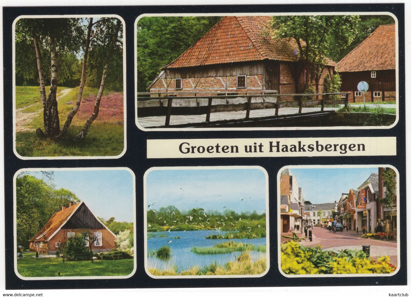 Groeten Uit Haaksbergen - (Nederland/Holland) - Nr. HAA 3 - Haaksbergen
