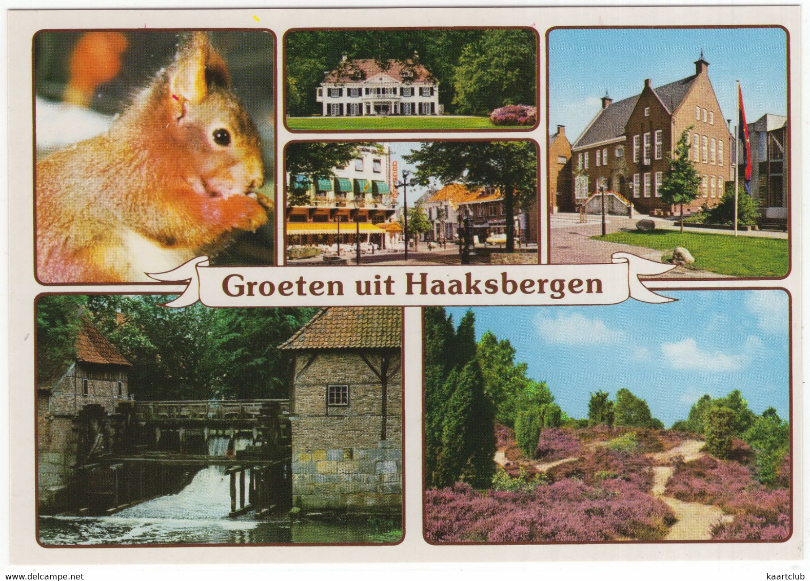 Groeten Uit Haaksbergen - (Nederland/Holland) - Nr. HAA 4 - Haaksbergen