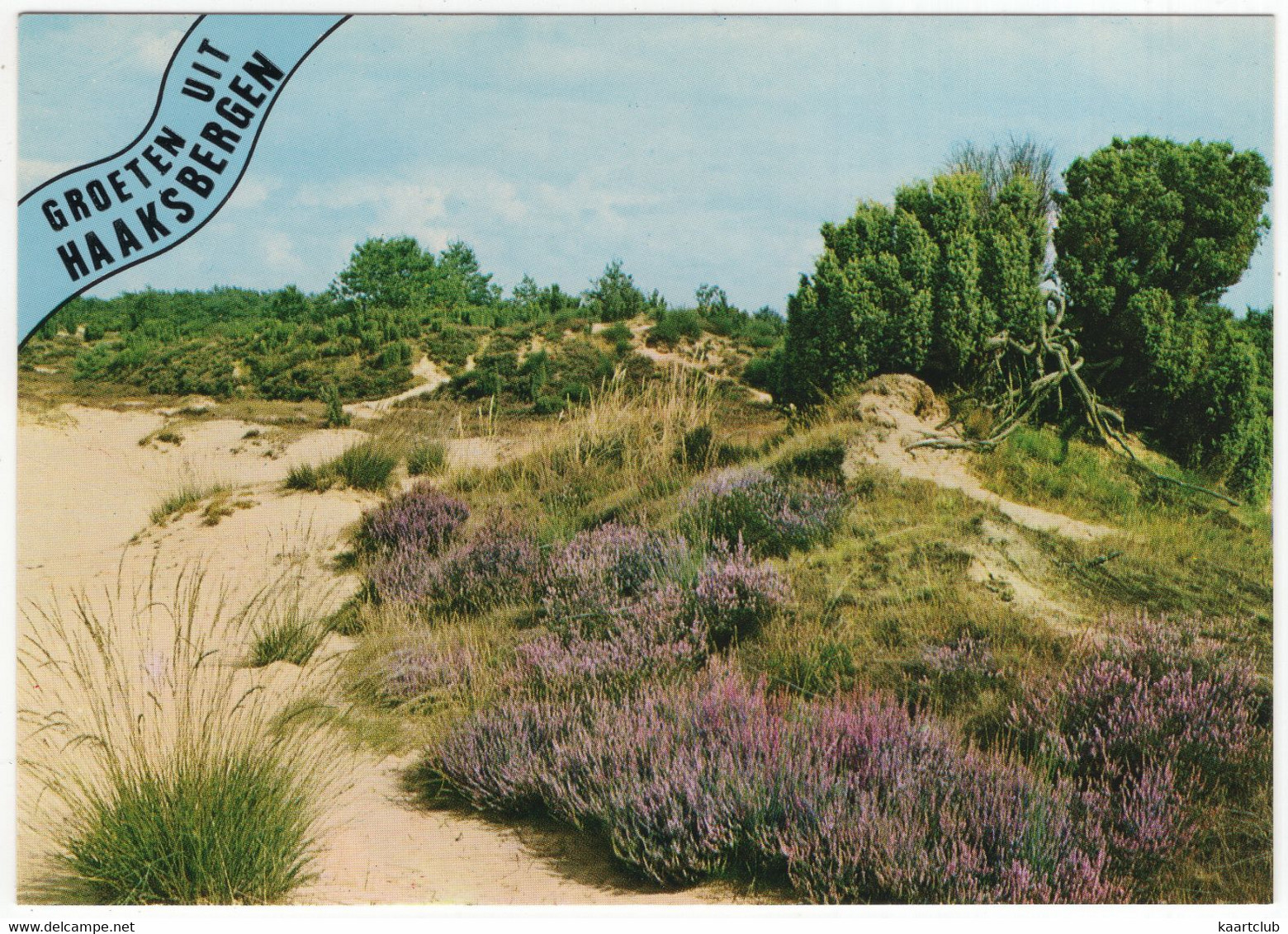 Groeten Uit Haaksbergen - Zandverstuiving, Heide - (Nederland/Holland) - Nr. AR 3 - Haaksbergen