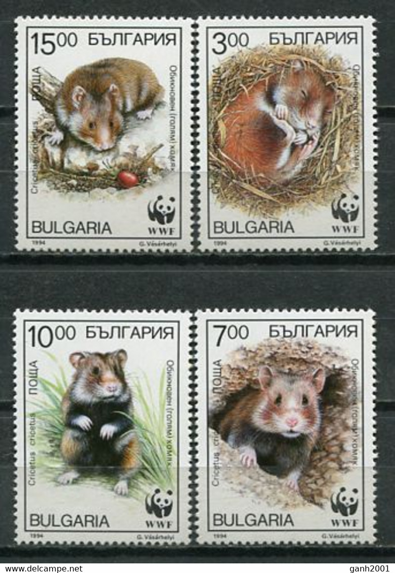 Bulgaria 1994 / Animals Mammals Rodents Hamster WWF MNH Fauna Mamíferos Roedores Säugetiere / Cu8226  30-15 - Rodents