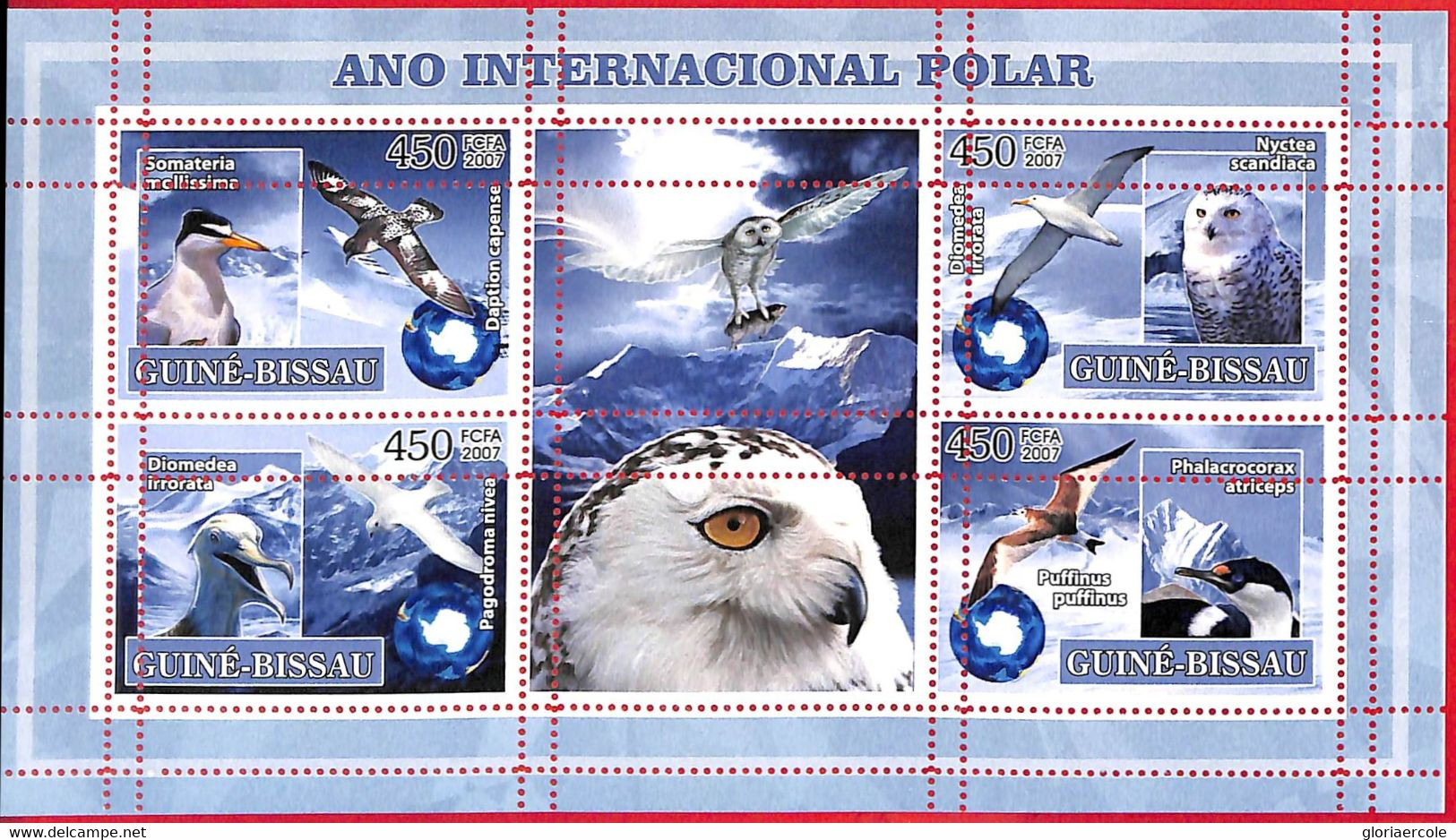 A5293 - GUINEA-BISSAU - Error, 2007, MINPERF, MINIATURE SHEET: Penguins, Owls, International Polar Year - Internationales Polarjahr