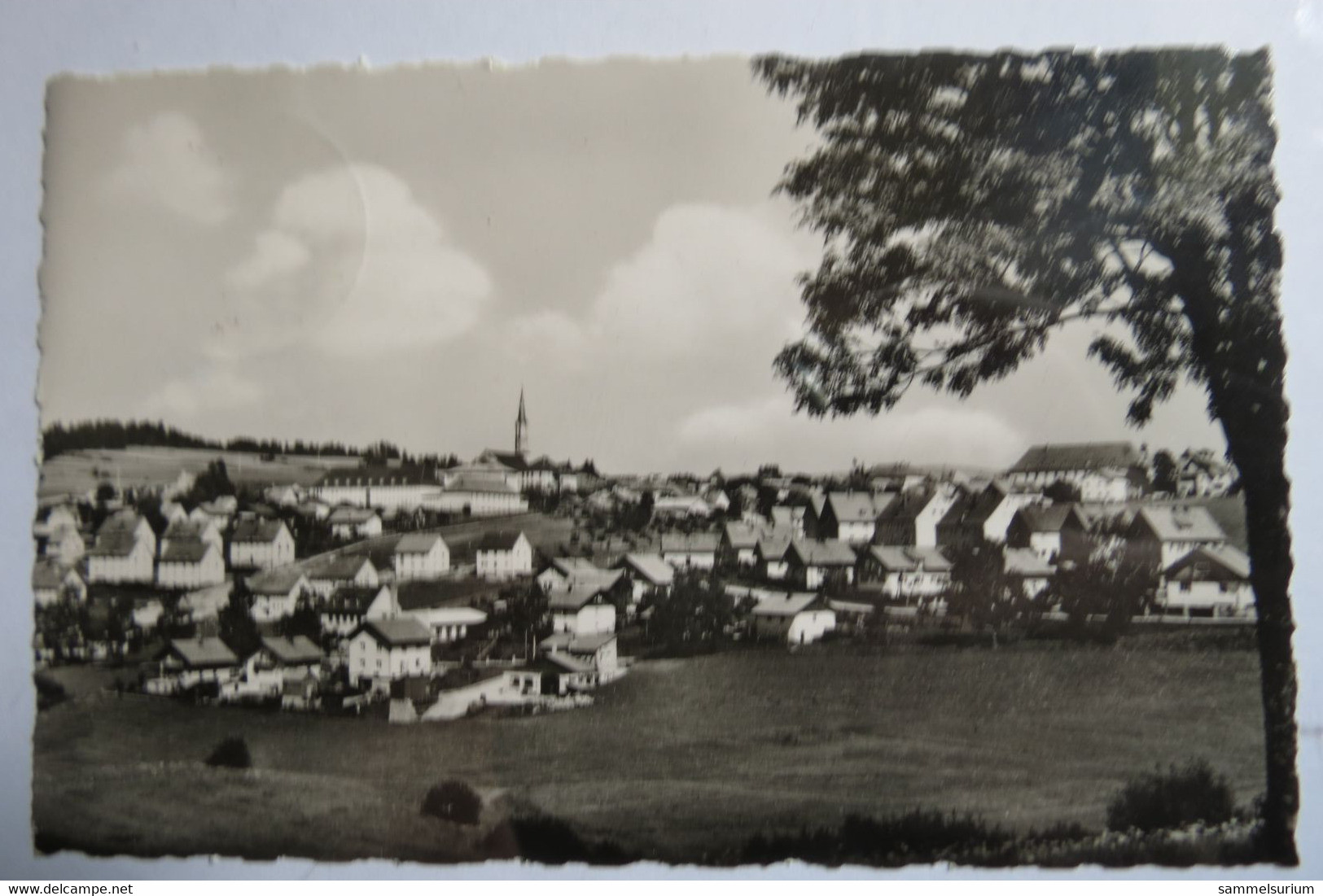 (12/1/53) Postkarte/AK "Freyung" Panorama - Freyung