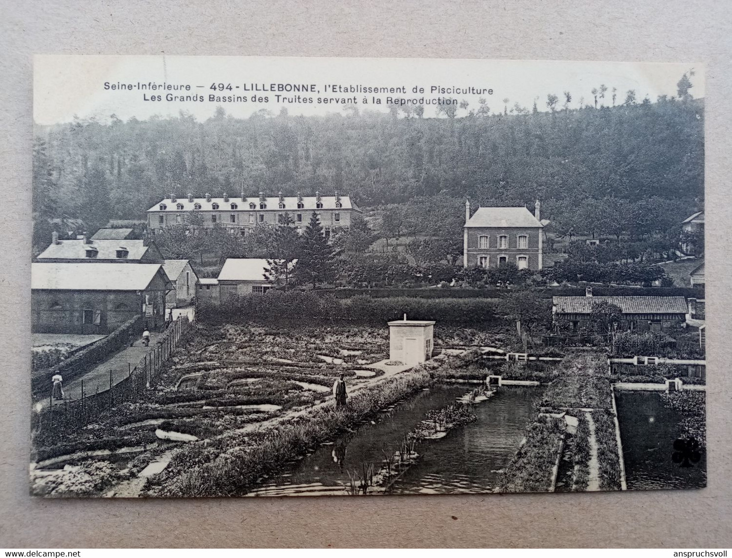 CPA - 76 - LILLEBONNE - L' établissement De Pisciculture - Les Grands Bassins Des Truites Servant à La Reproduction - Lillebonne