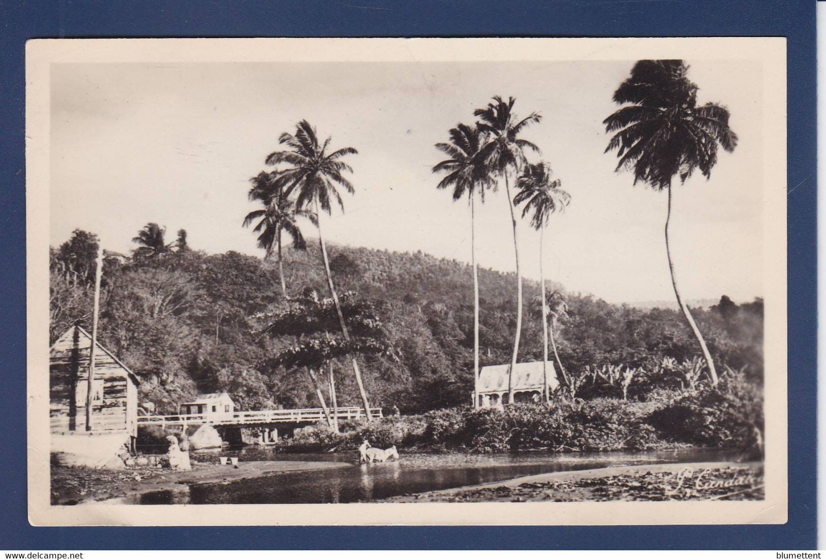 CPSM Guadeloupe Voir Dos Non Circulé Basse Terre - Basse Terre