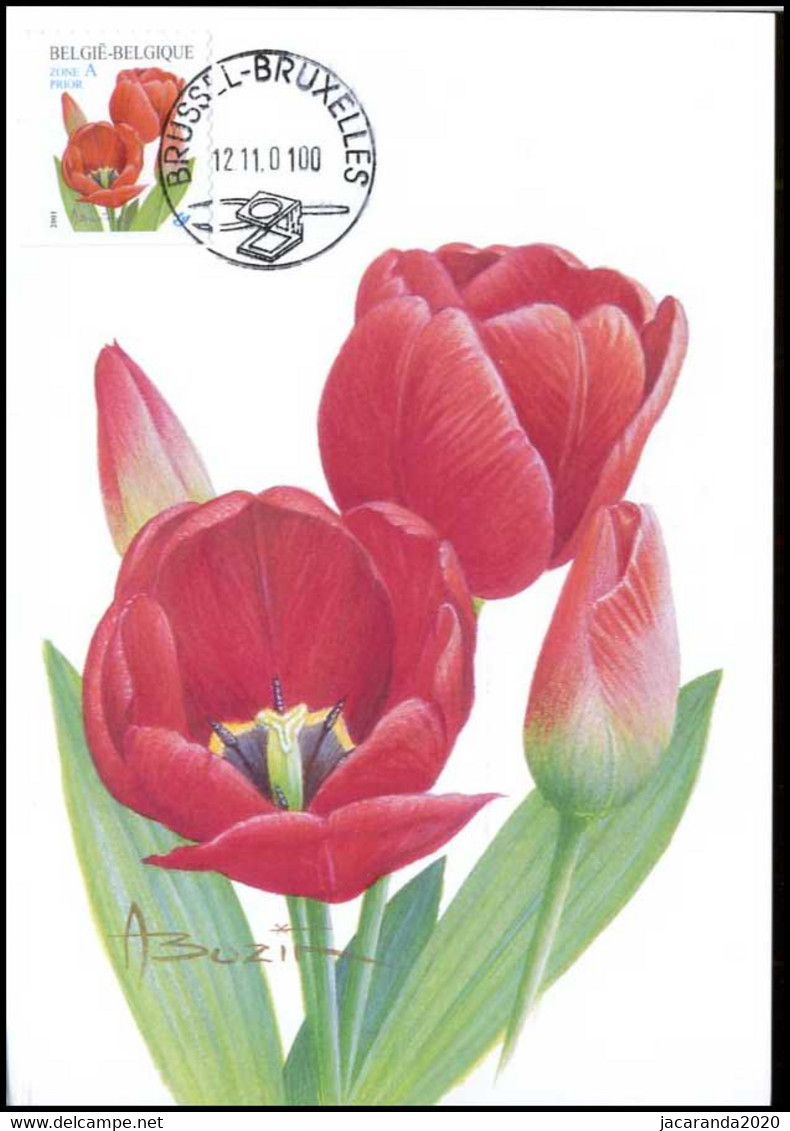 3047 - MK - Rode Tulp - 2001-2010