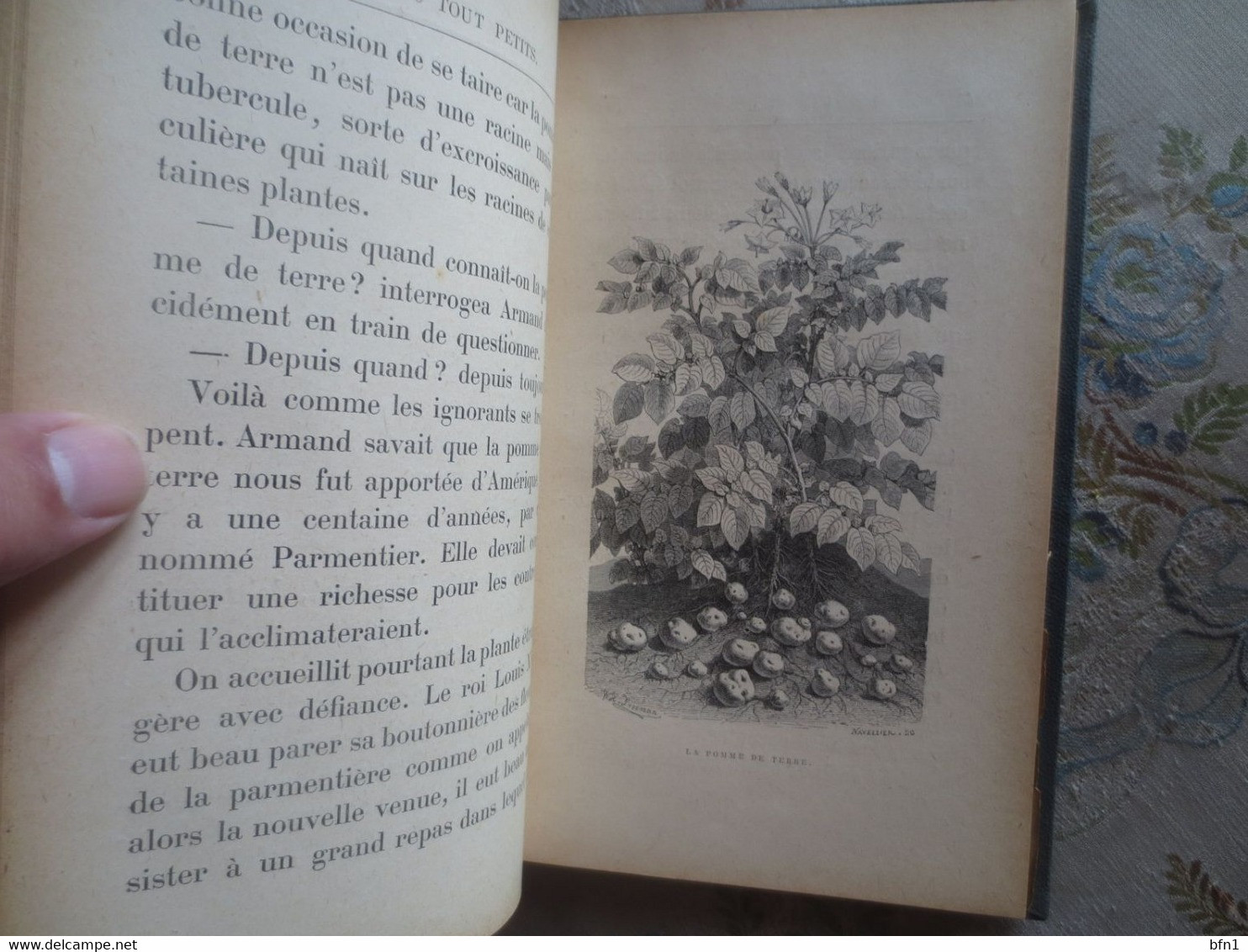 Pour Les Tout Petits: Lectures Sur Les Plantes à L'usage Des écoles Maternelles Et Des Divisions élémentaires Des écoles - 0-6 Anni