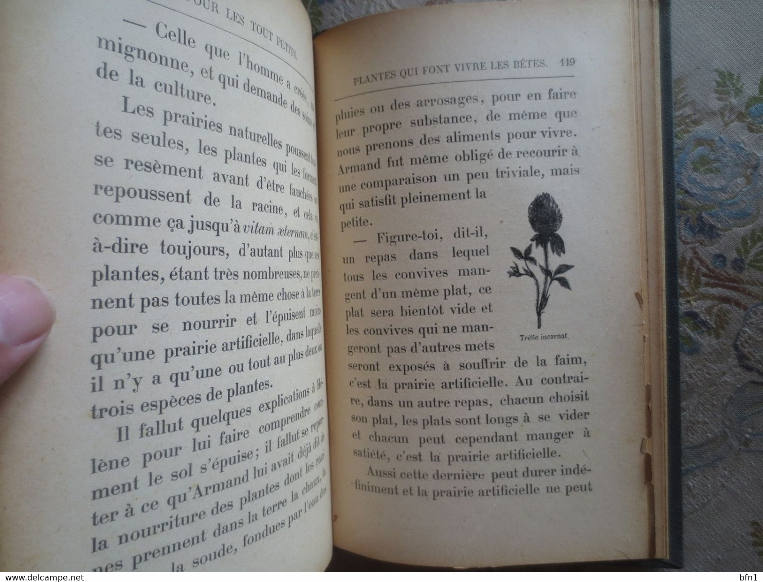 Pour les tout petits: Lectures sur les plantes à l'usage des écoles maternelles et des divisions élémentaires des écoles