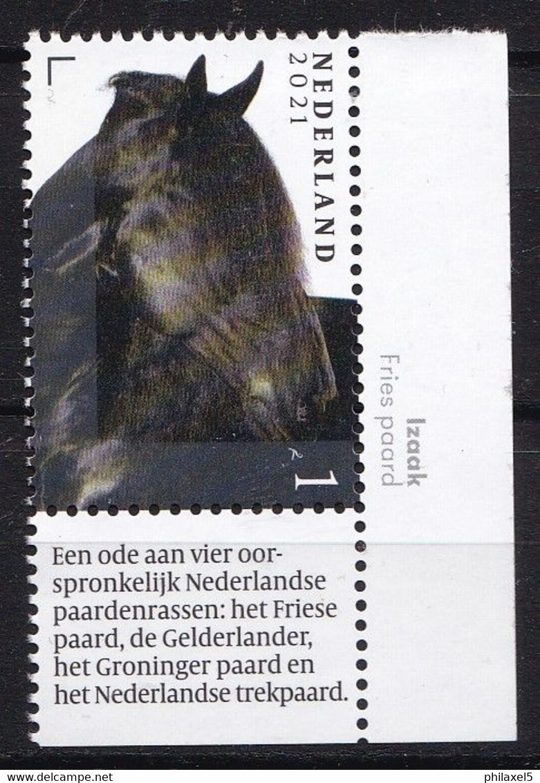 Nederland - 13 September 2021 - Nederlandse Paardenrassen - Izaak - Fries Paard - Horse/Pferd/cheval - MNH - Unused Stamps