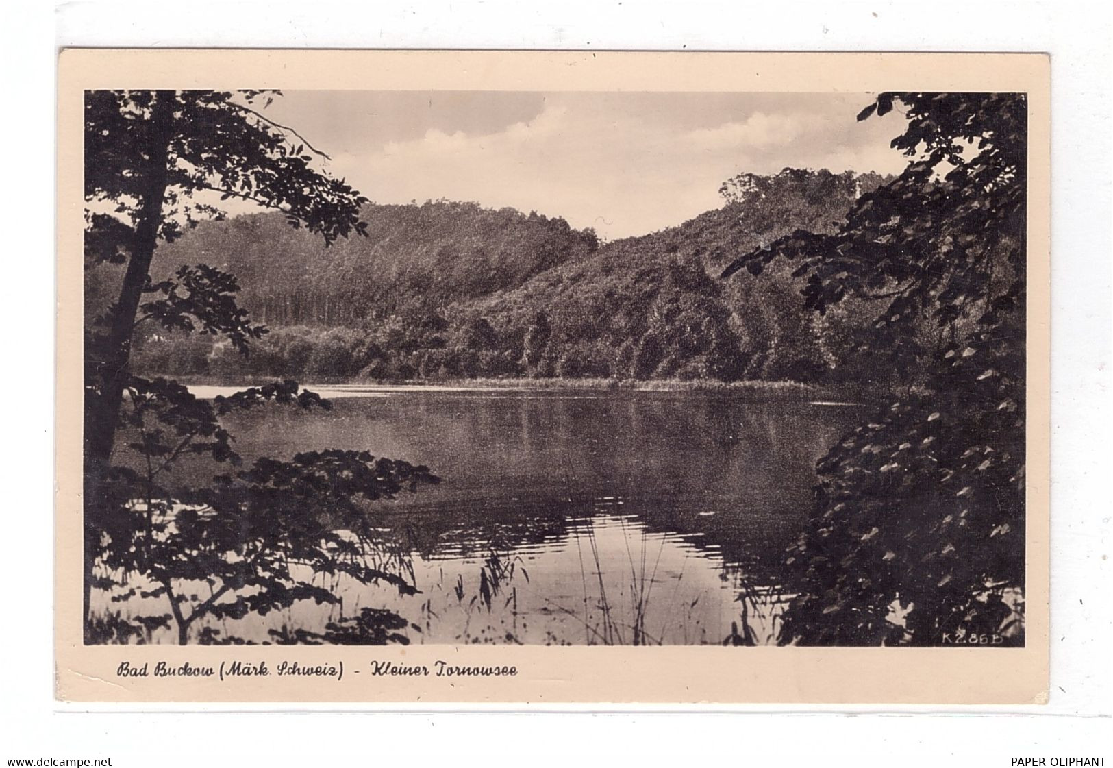 0-1276 BUCKOW, Scharmützelsee, Kleiner Torenowsee, 1957 - Buckow