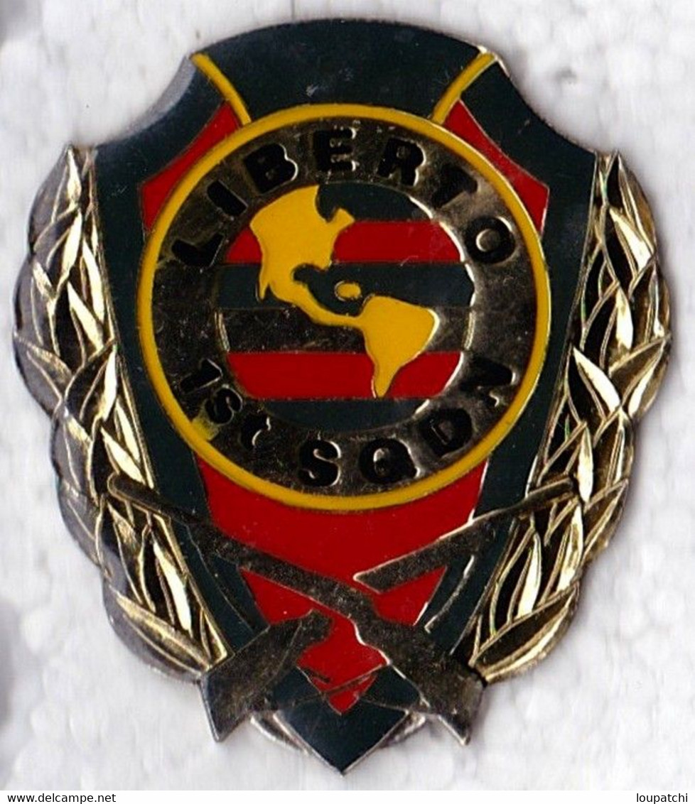 PIN S LIBERTO 1ST SQDN - Militaria