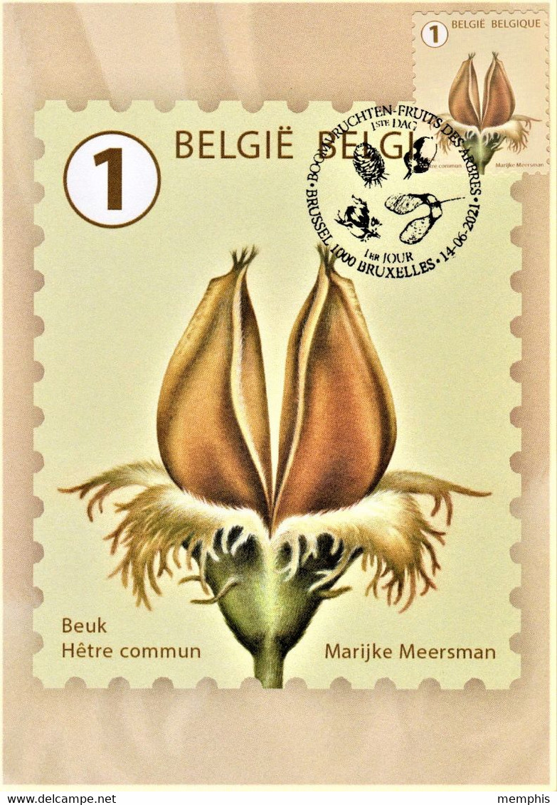 Reeks van 10 maximumkaarten bpost "Boomvruchten" Marijke Meersman stempel 1ste dag Brussel-Bruxelles 14-06-2021